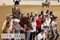 11yn_28060 thumbnail
