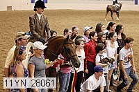 11yn_28061 thumbnail