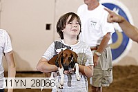 11yn_28066 thumbnail