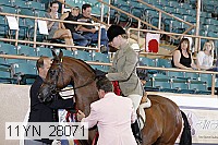 11yn_28071 thumbnail