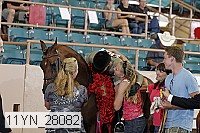 11yn_28082 thumbnail