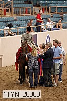 11yn_28083 thumbnail