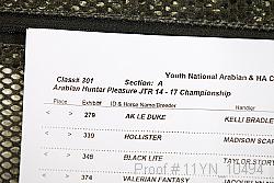 11yn_10494 thumbnail