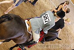 11yn_25592 thumbnail