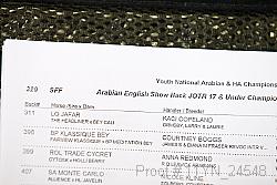 11yn_24548 thumbnail