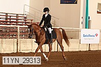 11yn_29313 thumbnail