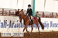 11yn_29371 thumbnail