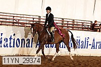 11yn_29374 thumbnail