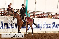 11yn_29379 thumbnail