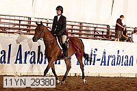 11yn_29380 thumbnail