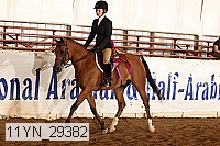 11yn_29382 thumbnail