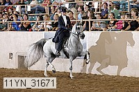 11yn_31671 thumbnail