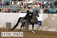 11yn_31674 thumbnail