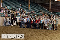 11yn_31724 thumbnail