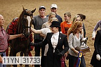11yn_31733 thumbnail