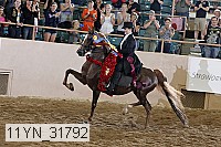 11yn_31792 thumbnail