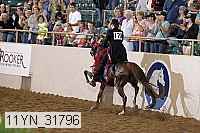 11yn_31796 thumbnail