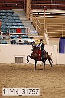 11yn_31797 thumbnail