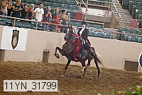11yn_31799 thumbnail