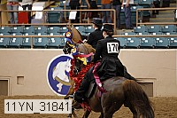 11yn_31841 thumbnail