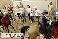 11yn_31872 thumbnail