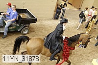11yn_31878 thumbnail