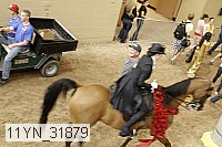 11yn_31879 thumbnail