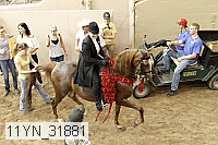 11yn_31881 thumbnail
