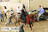 11yn_31882 thumbnail