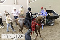 11yn_31884 thumbnail