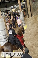 11yn_31889 thumbnail