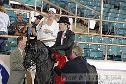 11yn_08554 thumbnail