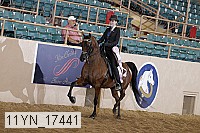 11yn_17441 thumbnail