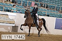 11yn_17442 thumbnail