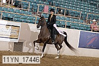 11yn_17446 thumbnail