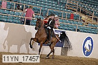 11yn_17457 thumbnail