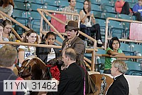 11yn_31462 thumbnail