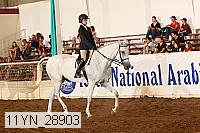 11yn_28903 thumbnail