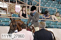 11yn_27860 thumbnail
