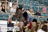 11yn_27901 thumbnail