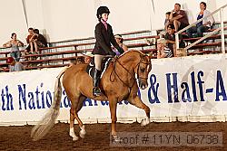 11yn_06738 thumbnail