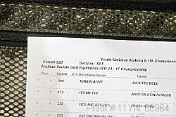 11yn_08964 thumbnail