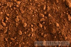 11yn_14802 thumbnail