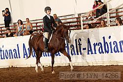 11yn_14266 thumbnail