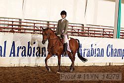 11yn_14279 thumbnail
