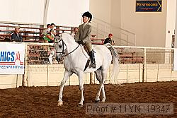 11yn_19347 thumbnail