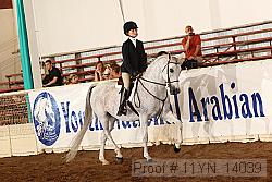 11yn_14039 thumbnail
