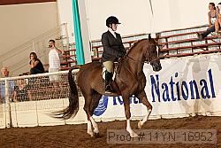 11yn_16952 thumbnail