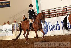 11yn_16954 thumbnail