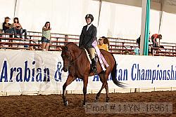 11yn_16961 thumbnail